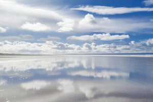Reflections on Life