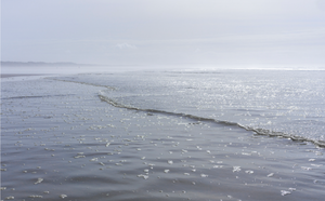 The Magic of Saunton