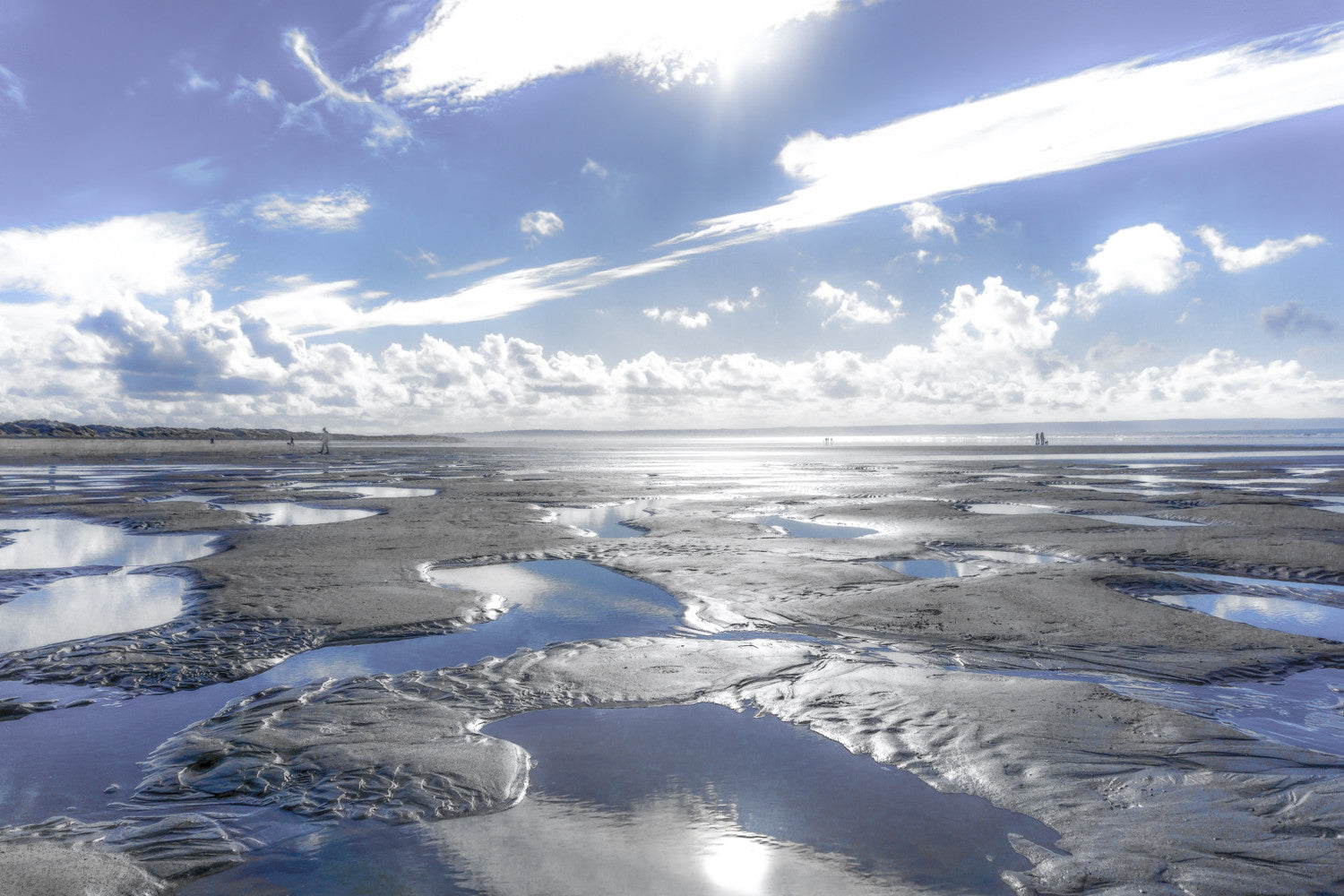 Indigo Puddles...