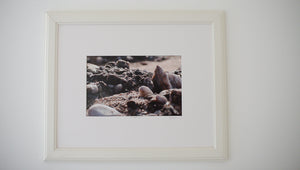 A World (Photographer's Proof)