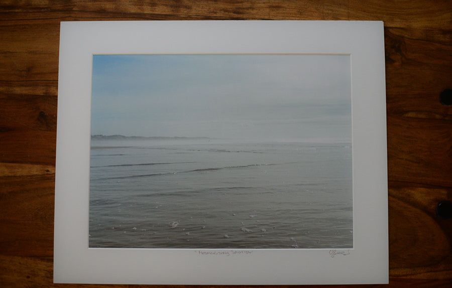 Tranquility  (Photographer's Proof)