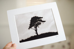 Exmoor Tree (Mounted for 10x8" frame)