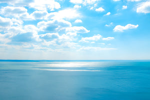 Blue Beauty